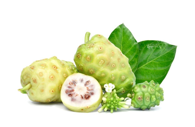 noni-morinda-citrifolia-fruits-with-sliced-isolated-white-background_252965-353.jpg